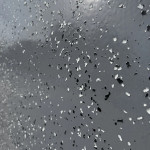 АКТЕРМ Гидроизоляция полимочевина