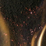 АКТЕРМ Огнезащита - Огнезащитная краска на органической основе