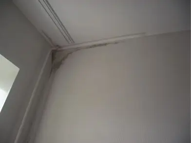 Мокнет угол стены в квартире